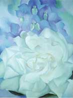 White Rose with Larkspur